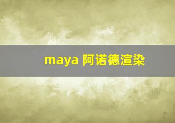 maya 阿诺德渲染